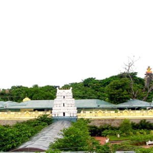 Basara Saraswathi Temple Timings