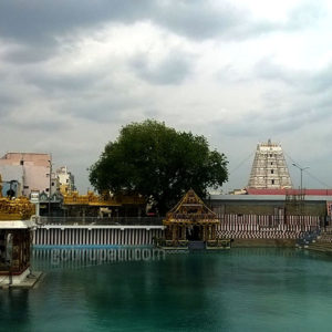 Tiruchanoor Sri Padmavathi Devi Temple Timings
